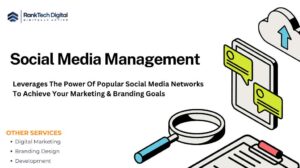 Social Media Management services